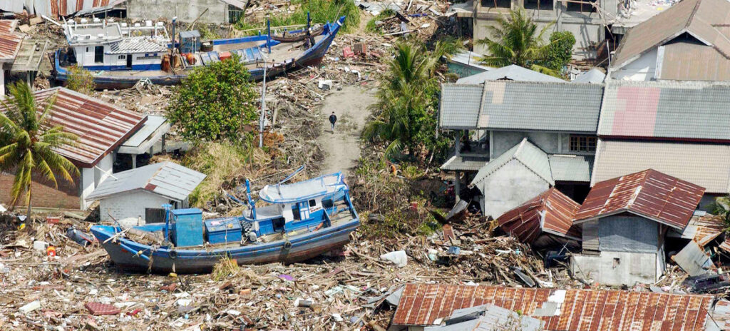 cunami-inija-2004 Da li životinje mogu da predvide prirodne katastrofe?