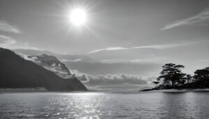sunce